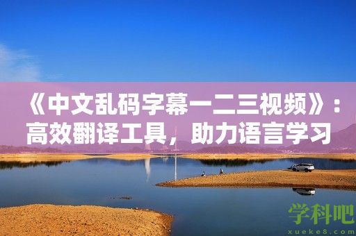 《中文乱码字幕一二三视频》：高效翻译工具，助力语言学习